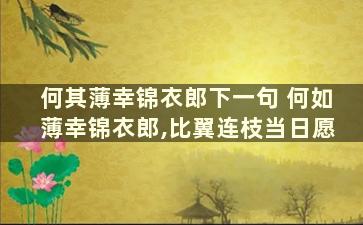 何其薄幸锦衣郎下一句 何如薄幸锦衣郎,比翼连枝当日愿